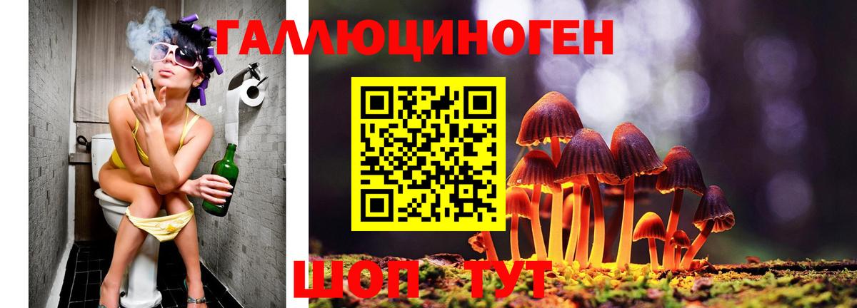 Галлюциногенные грибы MAGIC MUSHROOMS  купить наркоту  Псилоцибиновые грибы Psilocybe  Ялуторовск  Вход с VPN 